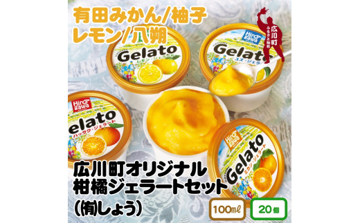 広川町 オリジナル 柑橘 ジェラート セット【sho115-hiro-20】