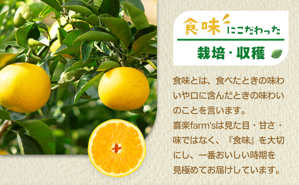 【産地直送】☆八朔☆サイズ混載（M～２L）☆9kg