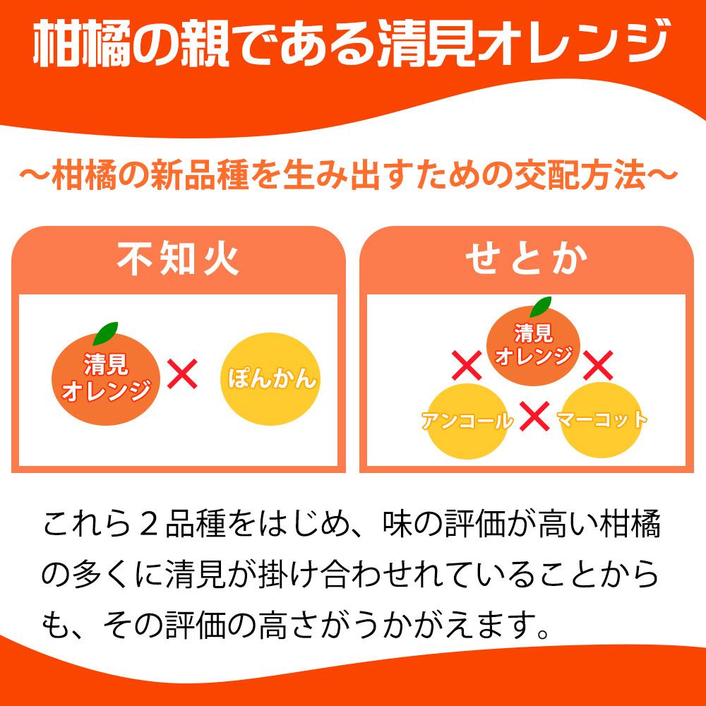 ［ご家庭用訳アリ］紀州有田産清見オレンジ　7.5kg［2026年3月下旬以降発送］［先行予約］［UT54w］