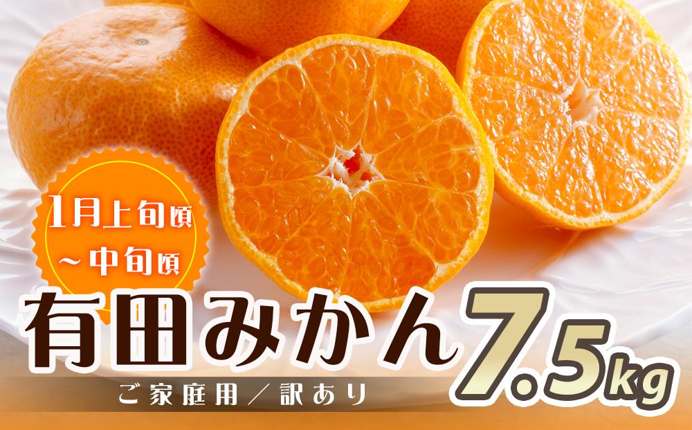【魚鶴商店厳選】和歌山人気の柑橘ご家庭用・訳あり定期便（みかん・不知火・清見オレンジ）【定期便全3回】【UT117w】
