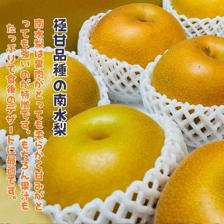 有田の 樹上 成熟 梨 農家直送  南水 梨 約4.5kg［2026年・先行予約］