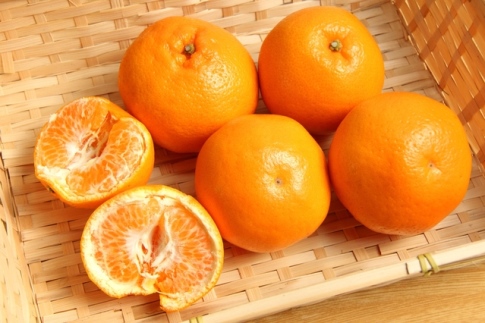 和歌山 有田の 濃厚 はるみ 約10kg（S又はMサイズ）［先行予約］［MS84w］