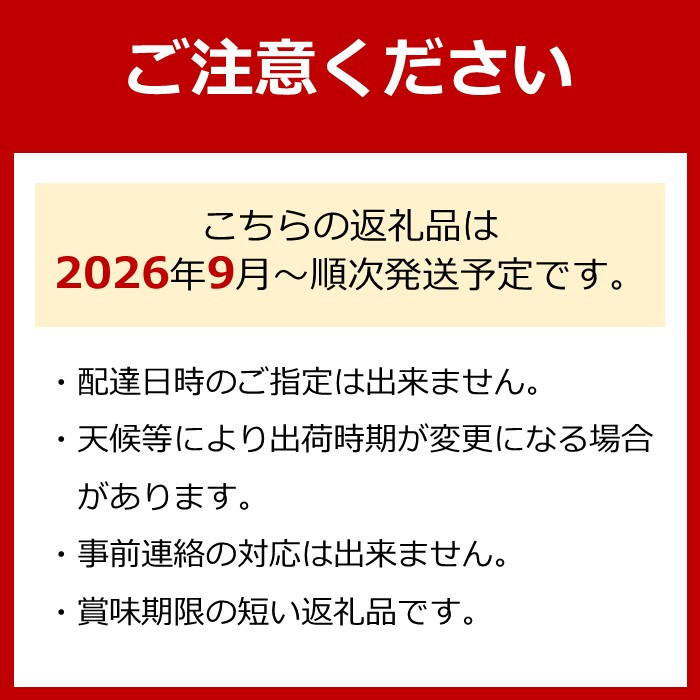 ［先行予約・2026年発送］朝採れ完熟シャインマスカットと和梨 大満足セット 約4kg