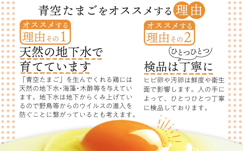 有田の青空たまご ササキのたまご Mサイズ 60個入
