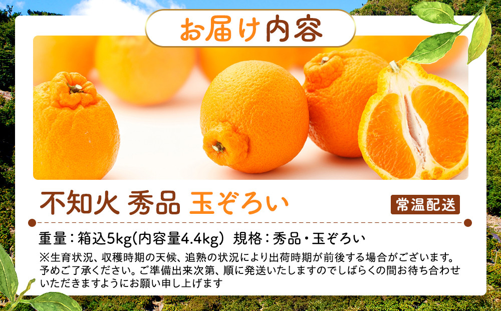 不知火 (しらぬい) 秀品 玉ぞろい 箱込 5kg (内容量約4.4kg)  和歌山県産 産地直送［みかんの会］