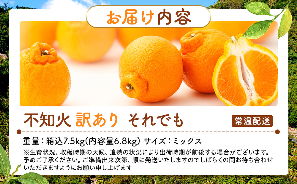 不知火 訳あり それでも 有田の不知火 箱込 7.5kg(内容量約 6.8kg) サイズミックス 和歌山県産 産地直送［みかんの会］