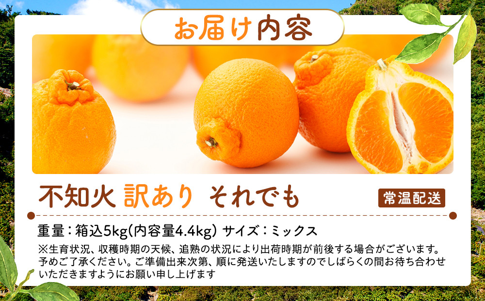 不知火 訳あり それでも 有田の不知火 箱込 5kg(内容量約 4.4kg) サイズミックス 和歌山県産 産地直送［みかんの会］