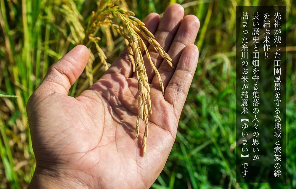 お米 5kg 思いを繋ぐ糸川のお米 結意米 【ゆいまい】和歌山県産 【みかんの会】