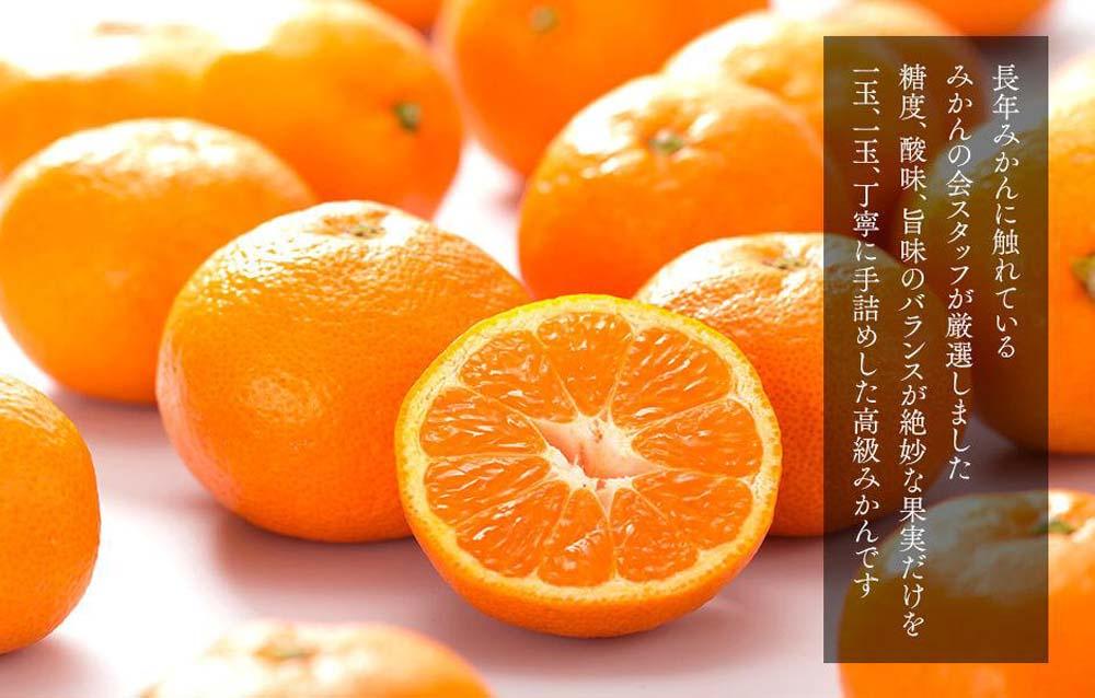みかん めっちゃうまいんじゃ 木箱入 約5kg（内容量4.3kg） みかんの会厳選 特選品 M S 2S サイズのいずれか 和歌山県産 産地直送 S品 贈答用 ［2025年11月中旬より2026年1月中旬頃順次出荷予定］［みかんの会］