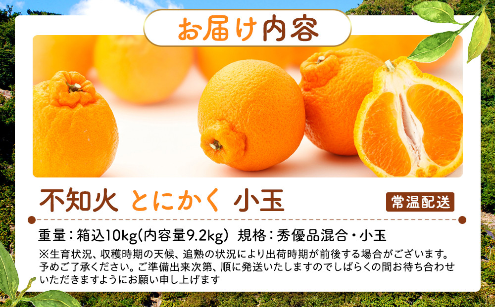 不知火 とにかく 小玉 箱込10kg (内容量約 9.2kg)  秀優品混合 和歌山県産 産地直送［みかんの会］