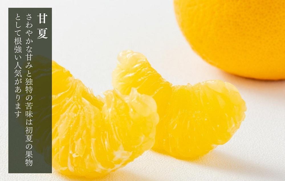甘夏 玉ぞろい 箱込 2.5kg ( 内容量約 2.3kg ) 秀品 優品 混合 2L  L M サイズのいずれか 和歌山県 産地直送 ［皮むき器付き］ ［みかんの会］