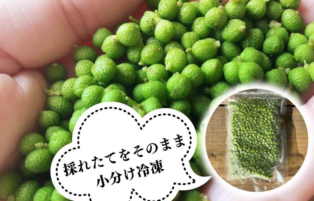 【6月下旬出荷予定】冷凍山椒 凍ってんじゃ ぶどう山椒 1kg ( 100g × 10袋 ) 和歌山県産 【みかんの会】