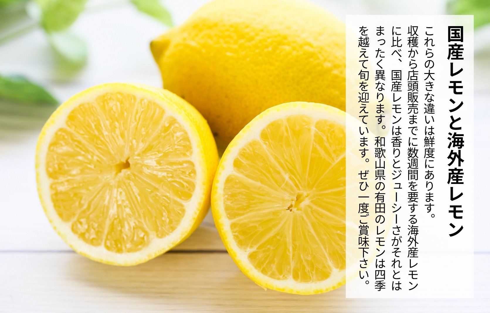 レモン 中玉 国産 箱込5kg(内容量約4.4kg) 秀品 L 2L 3L サイズミックス 和歌山県有田産 【みかんの会】