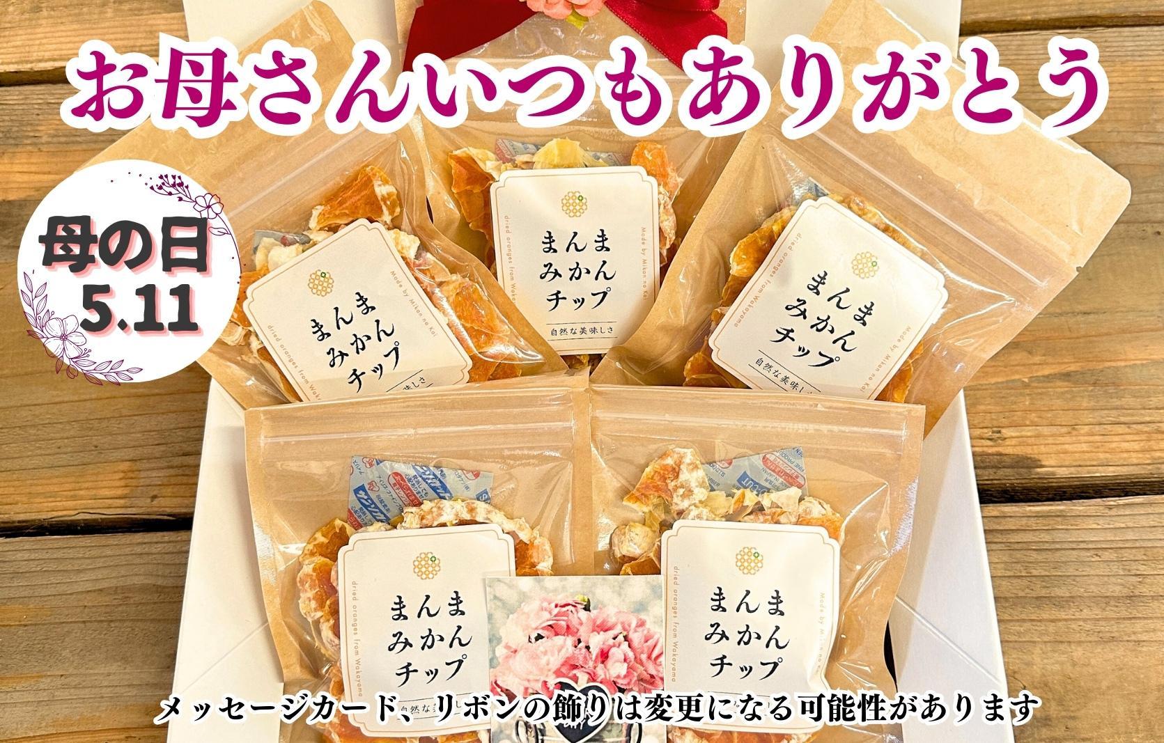 【母の日ギフト】みかん ドライフルーツ まんまみかんチップ 100g ( 20g × 5袋 ) 和歌山県産 果物使用 国内製造 【みかんの会】
