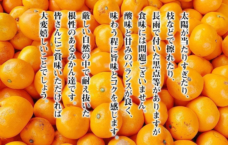 ［先行予約］熟成 みかん とにかく 小玉 箱込10kg ( 内容量 9.2kg ) 2Sサイズ以下 秀品 優品 混合 有田みかん 和歌山産 産地直送 家庭用 【みかんの会】
