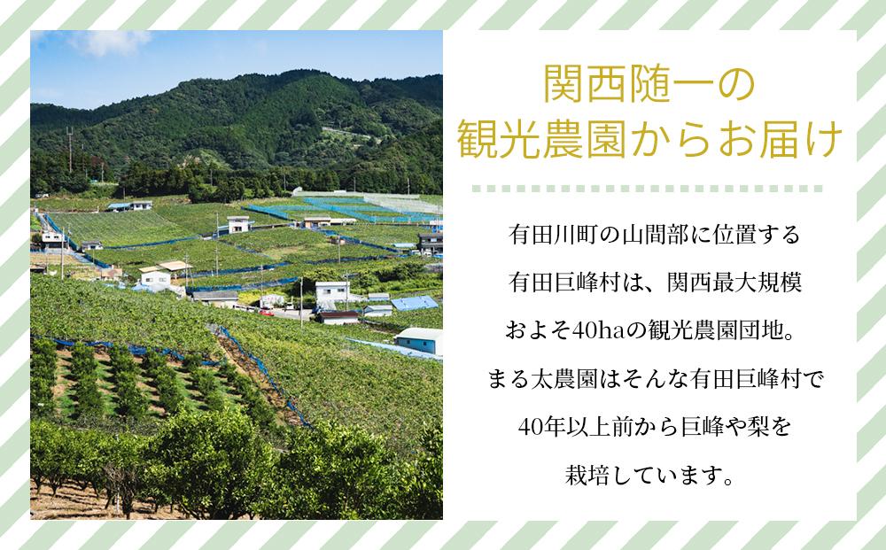 農家直送食べ頃をお届け！豊水梨　約４ｋｇ［2026年8月中旬以降順次発送］