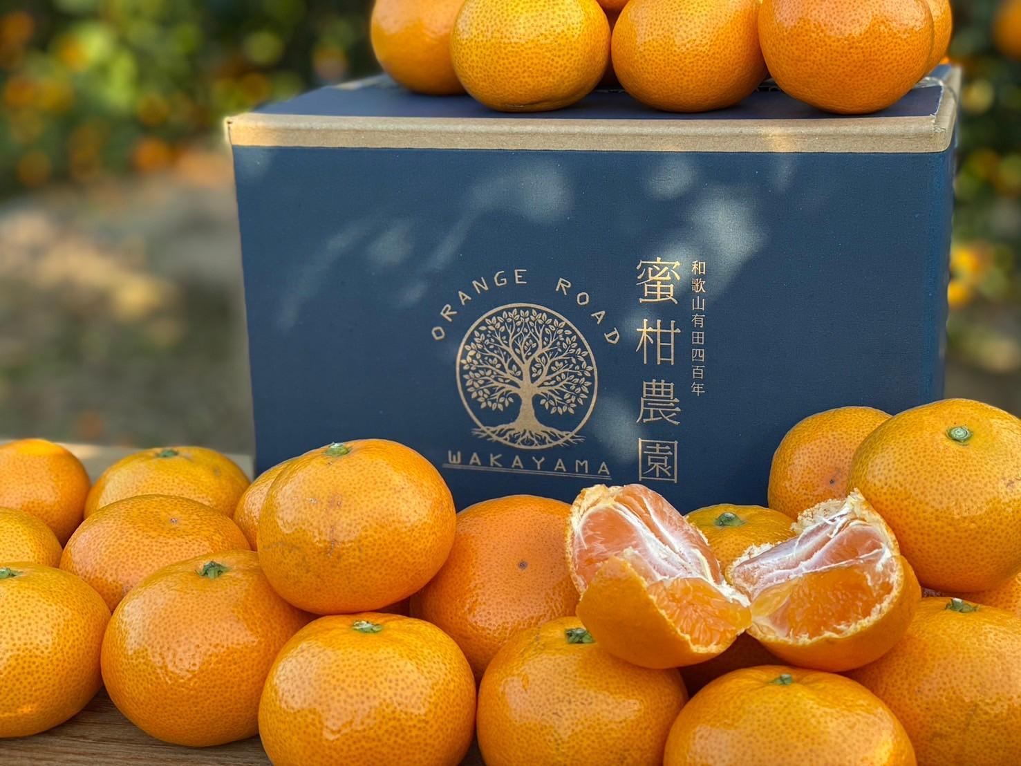 ［年内発送］和歌山県産 有田みかん 大粒サイズ 2.5kg