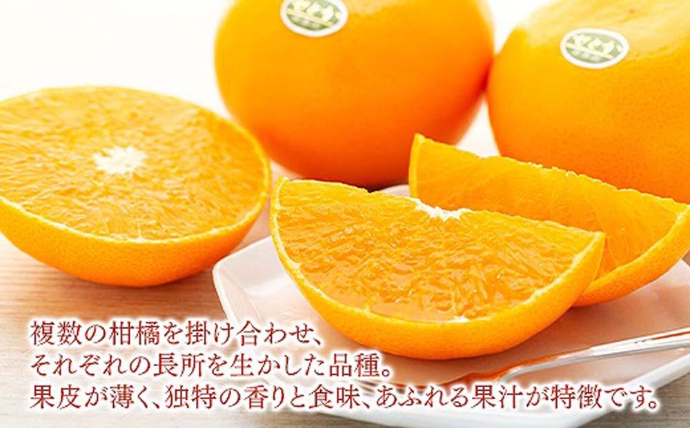 化粧箱 柑橘の大トロ ハウス せとか 厳選 大玉 7玉入