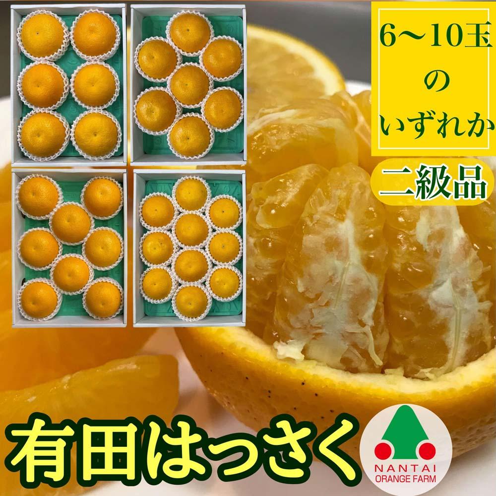 定期便 貯蔵 はっさく ＆ ハウス せとか 全2回 南泰園  二級品 セット みかん