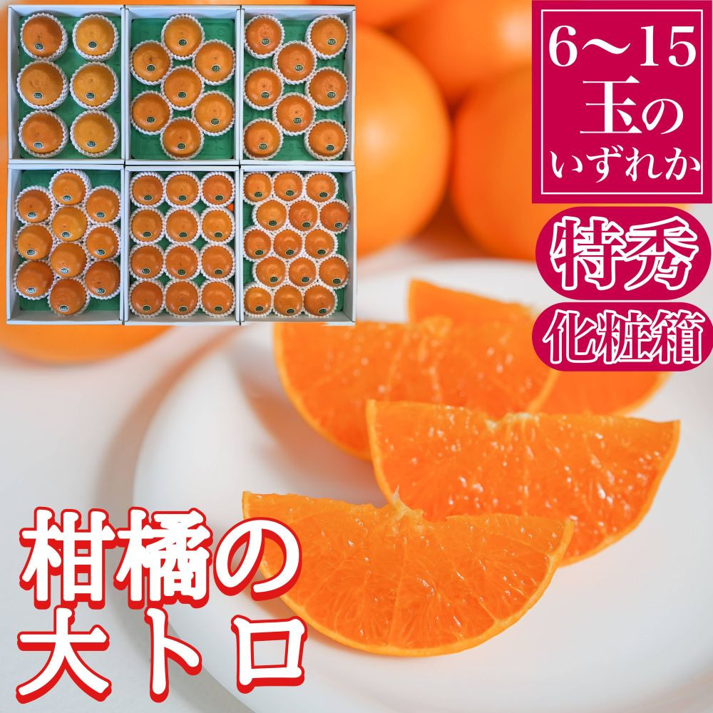 定期便 春に楽しむ ハウス せとか ＆ 木成 完熟 有田 はっさく 特秀 セット 全2回 南泰園