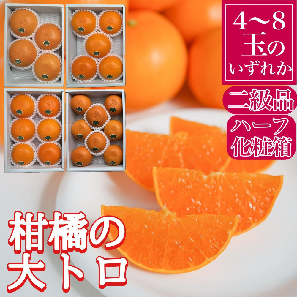 定期便 春に楽しむ ハウス せとか ＆ 木成 完熟 有田 はっさく 傷あり 二級品 小箱セット 全2回 南泰園