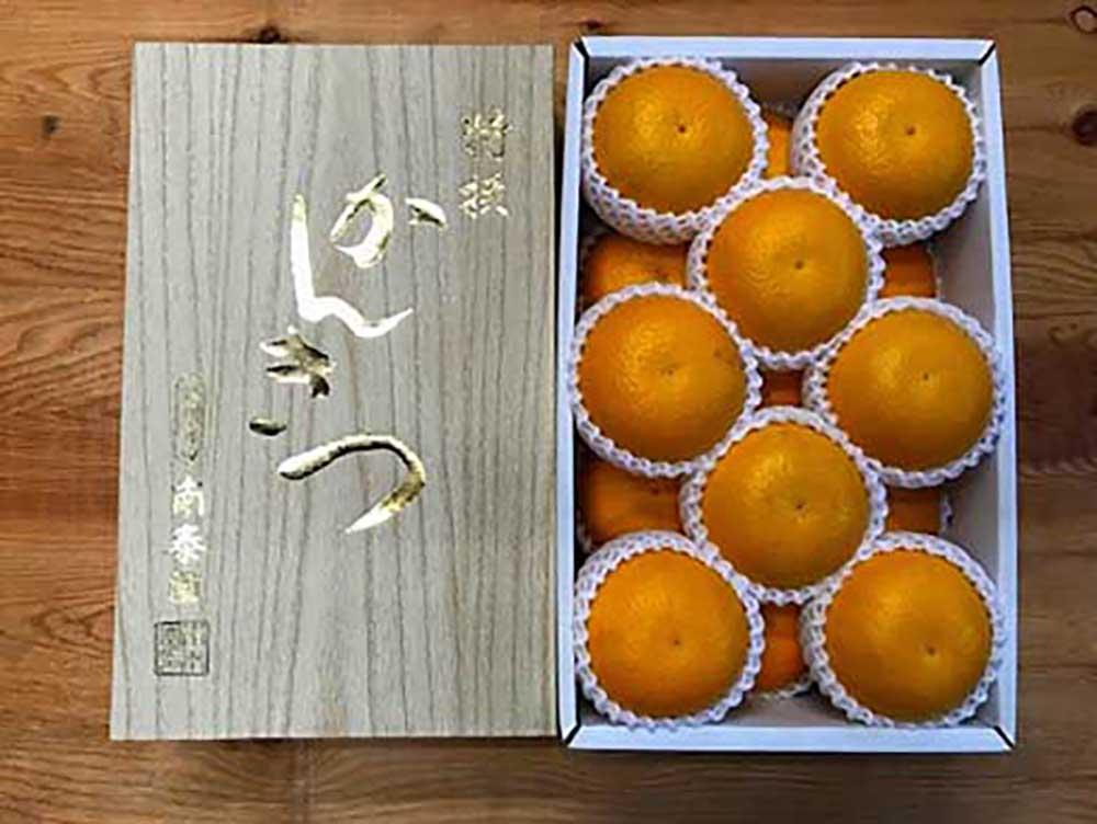 化粧箱 手詰め 有田 はっさく 特秀 L サイズ × 15玉入 2段詰 南泰園 みかん