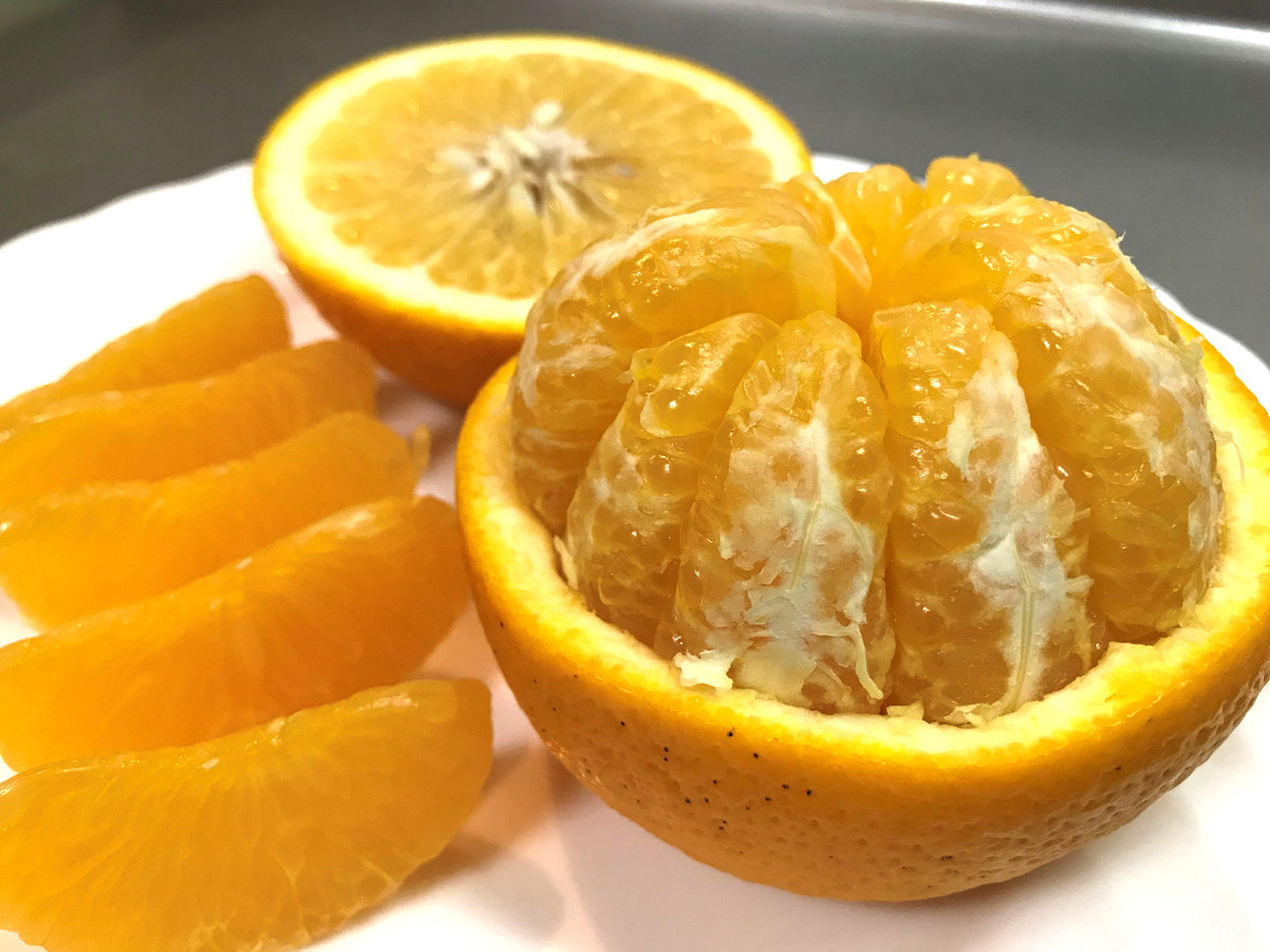 2箱セット ちょっと 傷あり 木成完熟 紅はっさく 2L ～ M ( 4玉 ～ 6玉 ) 手さげ箱 【2026年4月上旬～発送】