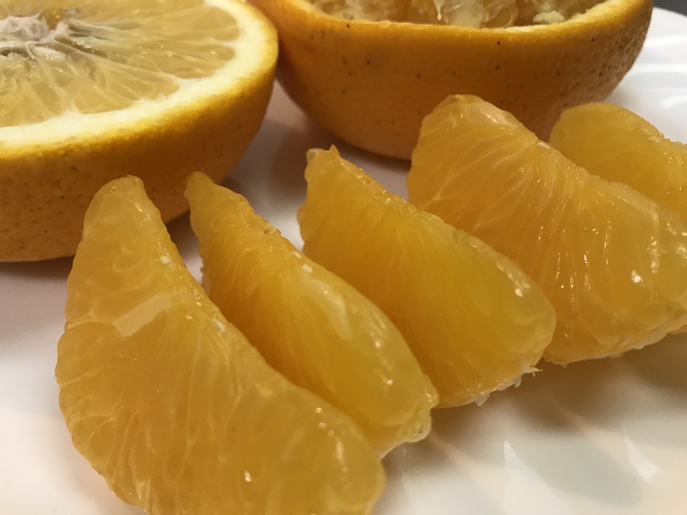 家庭用 5.5kg 訳あり 傷多め 木成完熟 紅はっさく L または M サイズ 茶箱 南泰園【2026年4月上旬～発送】