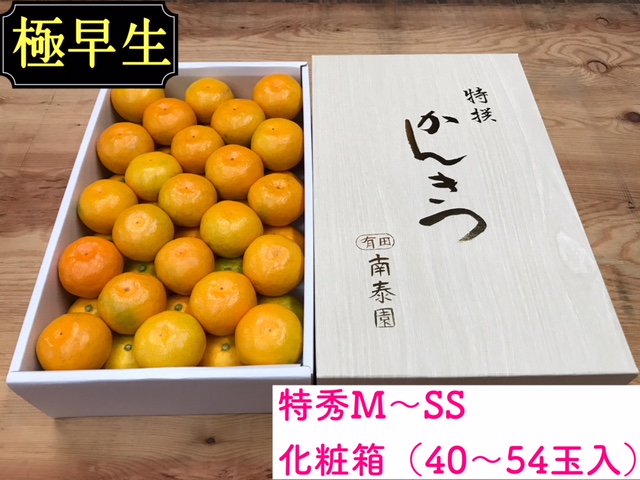 頒布会 有田かんきつ 定期便 7ヶ月間 南泰園 みかん