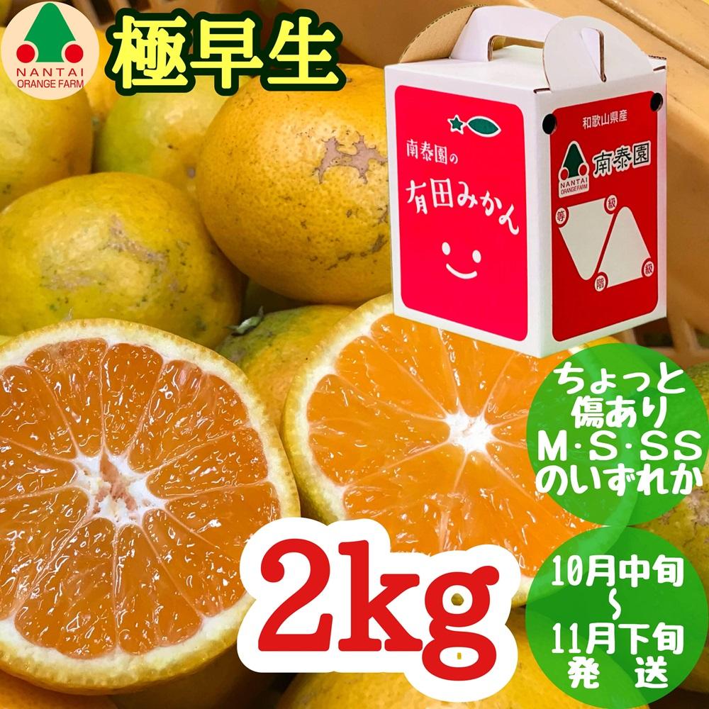 定期便 手さげ箱 セット 極早生 有田みかん ＆ はっさく 全2回 南泰園 みかん