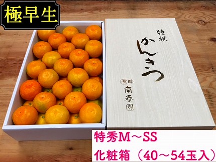 定期便 先行受付 2026年 10月発送スタート 有田みかん 食べくらべ 3種 化粧箱 各約 3kg 全3回 南泰園