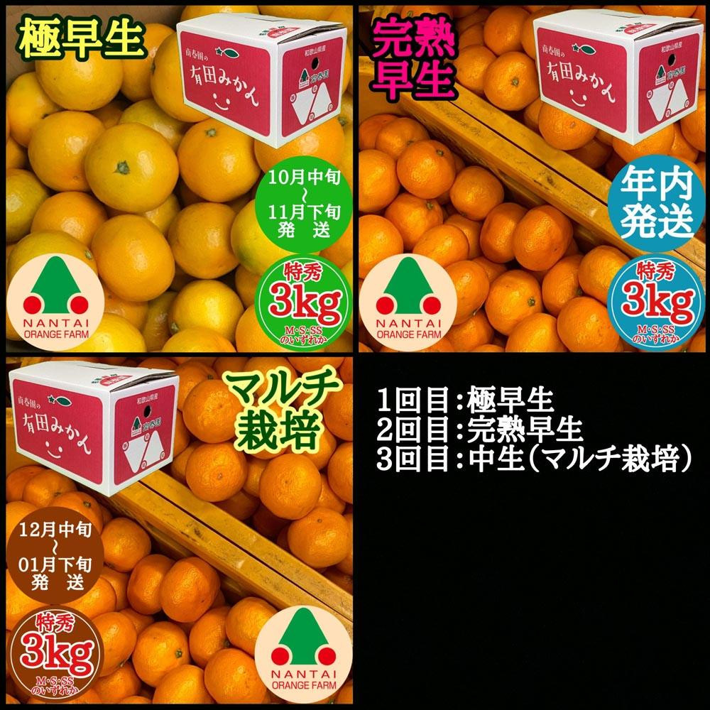 定期便 先行受付 2026年 10月発送スタート 有田みかん 食べくらべ 3種 特秀 各 3kg コース 全3回 南泰園