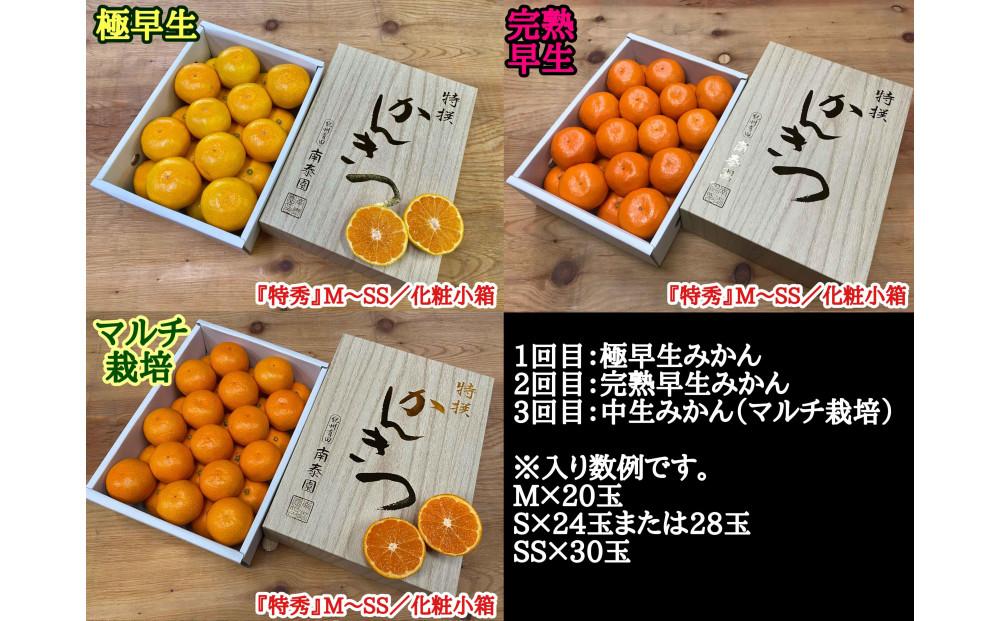 定期便 先行受付 2025年 10月発送スタート 全3回 有田みかん 食べくらべ 3種 化粧小箱 各約 2kg 南泰園