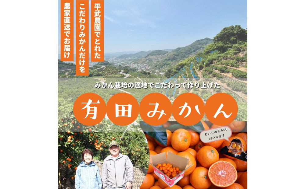 農家直送！きよみオレンジ 小玉10kg［平武農園］～蛍飛ぶ町から旬の便り～［2026年3月下旬から順次発送予定］