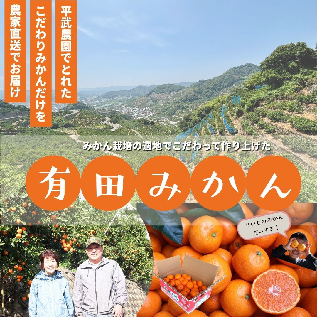 農家直送！有田みかん（5kg 訳あり≪サイズ混合≫） 平武農園　～蛍飛ぶ町から旬の便り～