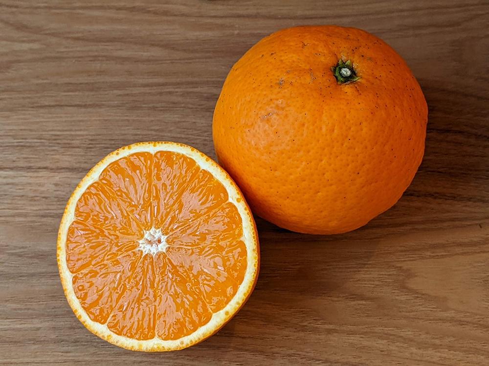 農家直送！きよみオレンジ家庭用3kg［平武農園］～蛍飛ぶ町から旬の便り～［2025年3月中旬～4月下旬頃発送予定］