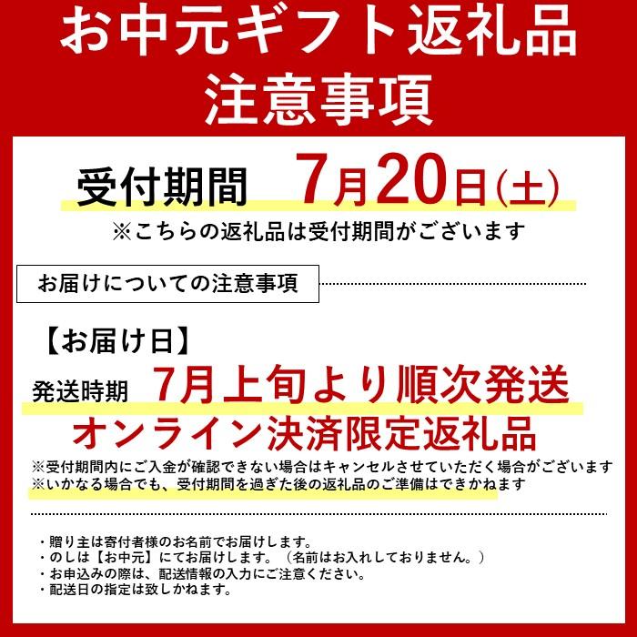 【お中元】ブルーウッドブリュワリーの定番3種飲み比べセット【7月1日～7月25日に発送】