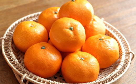 [秀品]有田のブランドみかん「賢みかん」5kg(2Sサイズ)［2026年11月中旬頃より順次発送］