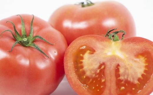 長峰高原 有田産 桃太郎トマト 約3kg ★2025年8月より順次発送 有田川町