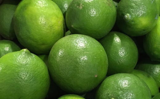 ［産直］和歌山産グリーンレモン約3kg（サイズ混合）★2025年10月下旬頃より順次発送［有田川町産］［TM7w］