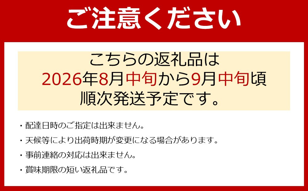 ［先行予約］［新鮮・産直］有田巨峰村の朝採りたねなしピオーネ　約2kg★2026年８月中旬頃より順次発送