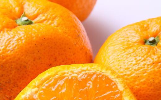 [訳あり]和歌山有田みかん約10kg(S～Lサイズいずれかお届け）★2026年11月中旬頃より順次発送［TM82w］