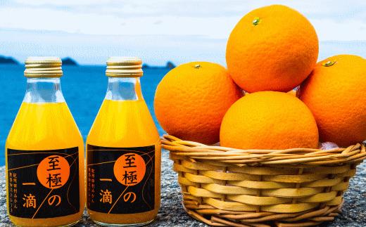 ［無添加］田村みかんの新鮮100％ジュース「至極の一滴」180ml×12本入り★2026年2月中旬頃より順次発送［TM20w］