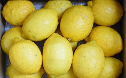 和歌山有田産 国産レモン 約2kg ★2026年2月中旬頃より順次発送［安心果実］