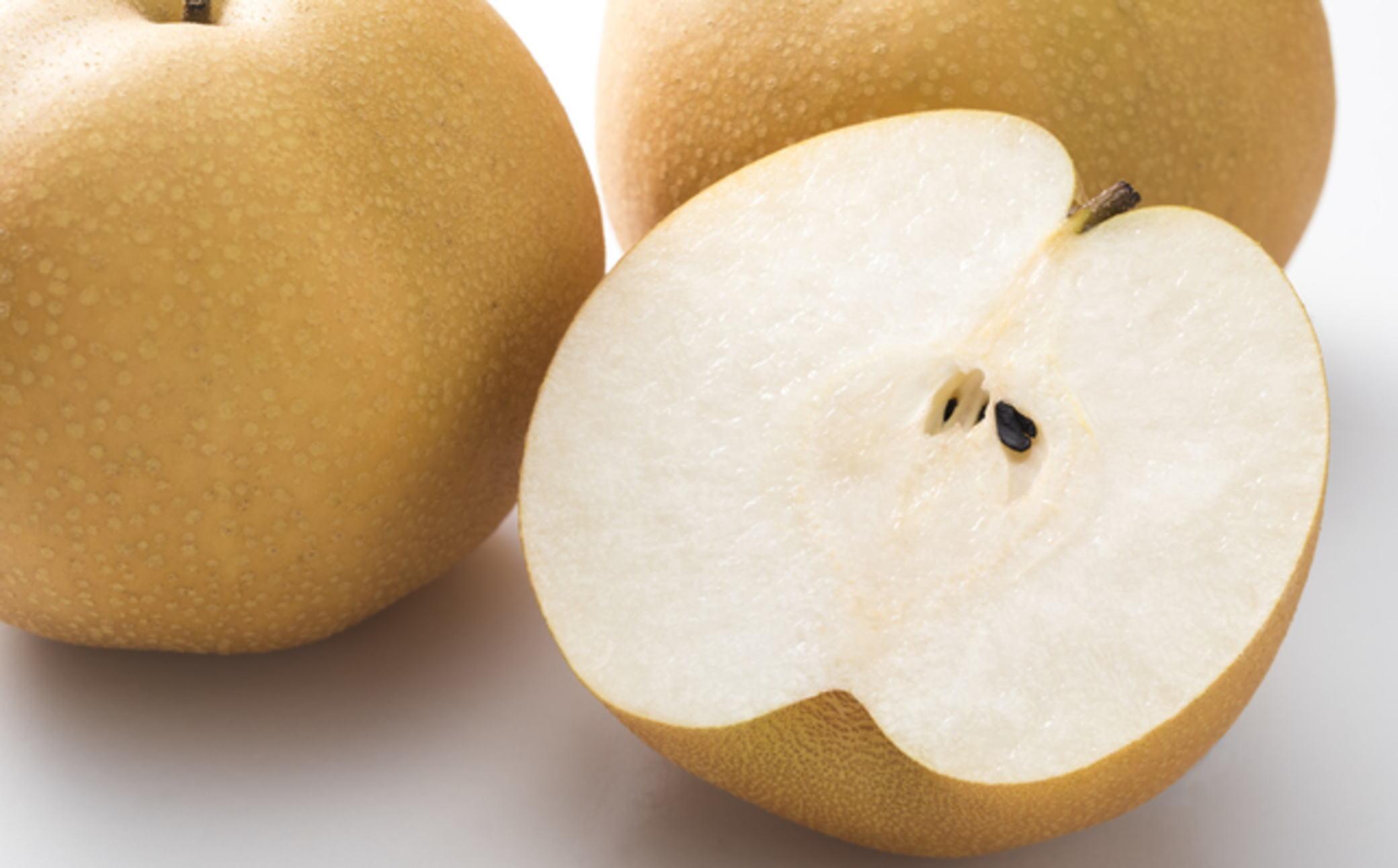 【産直】和歌山有田産の梨約2kg（品種おまかせ）★2026年8月上旬頃より順次発送