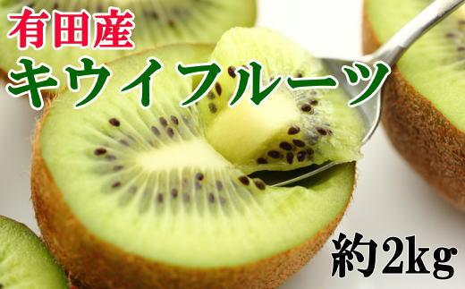 定期便全3回【1月・2月・3月発送】和歌山のこだわりが詰まった旬のフルーツ定期便（キウイ・不知火・清見オレンジ）