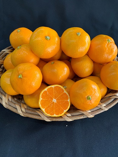 【数量限定】有田みかん青秀　約5kg（SもしくはМサイズ）※サイズ指定不可