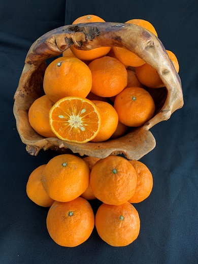 【数量限定】【はるみかんの王様】カラマンダリン（カラー）約3kg　※サイズ指定不可