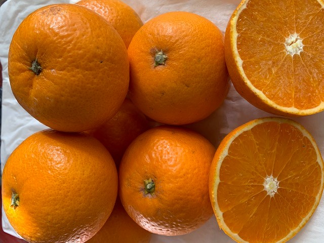 完熟清見オレンジ 赤秀品 5kg（М・L・2L/サイズ指定不可）