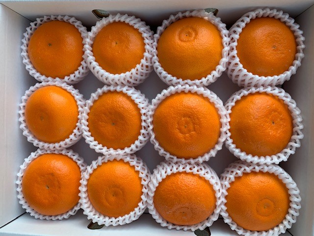 完熟せとか（9～15玉/サイズ指定不可）